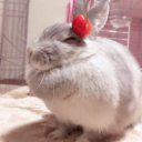 heartshapedfemme avatar