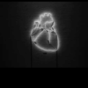 heartshapedflowers avatar