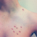 heartshapedhickies avatar