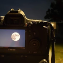 heartshapedlockett avatar