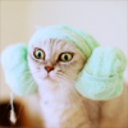 heartwithseoul avatar