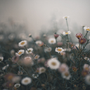 heartyfeel-blog avatar