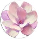 heartzforfayth avatar