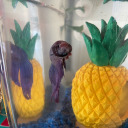 heathbarsblog avatar