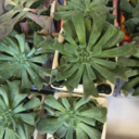 heavenly-tide-blog avatar