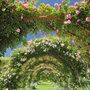 heavenlyscentedangel avatar