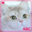 heavybreathingcatt avatar