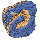 heavyhandedgal avatar