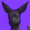 heavymetaldeer avatar