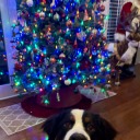 hecateisasnowman avatar