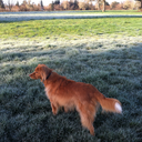 heckyeahcytos avatar