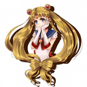 heckyeahsailorsenshi avatar