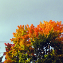 heckyesautumn avatar