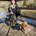 hecticcuteness12 avatar