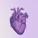 hedgehog-goddess avatar