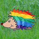 hedgehog-rainbow avatar