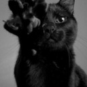 hedgswitchery avatar