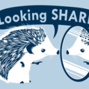 hedgyhedgehog avatar