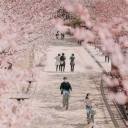 hedissahernandez avatar