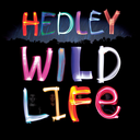 hedleyonline-blog avatar