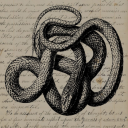 hedwigpotter394 avatar