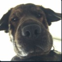 heedthecall avatar