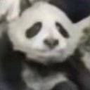 heelllloooooo avatar