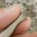 heem-heem-heem avatar