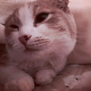 heeyovn-archived avatar