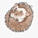 hegdehogs avatar