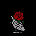 hehe-why-hehe avatar