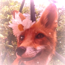 heinzeldarling avatar