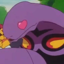 heir-of-arbok avatar