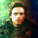 heir-of-winterfell avatar