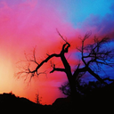 heisenberad-blog avatar