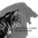 heisntjustakid avatar