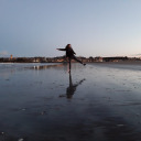 helena-und-paris avatar