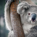 helenaisalwaysfun avatar