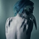 helianthusniger avatar