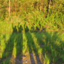 helio-phile-blog avatar