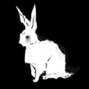 hell-bunnies avatar