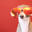 hella--groovy avatar