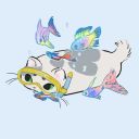 hella-free-space avatar