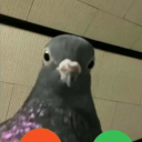 hellacella61672 avatar