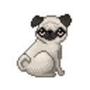 hellacooldogs avatar