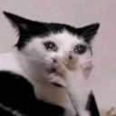 hellacrawford avatar