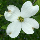 hellahellakelda avatar