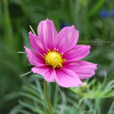 hellainhighheels avatar