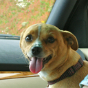 hellamadradvi avatar