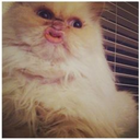 hellaradbigmack avatar